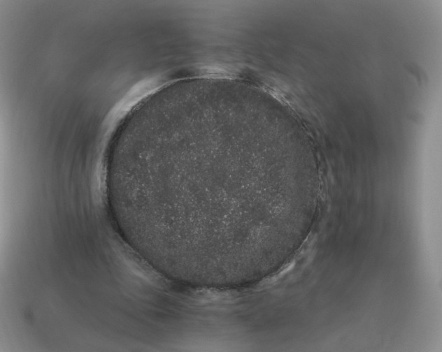 X0000114520343200911091155