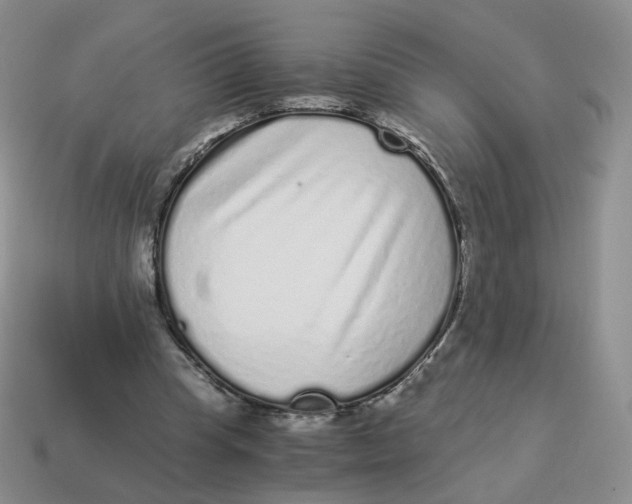 X0000114520345200911091155