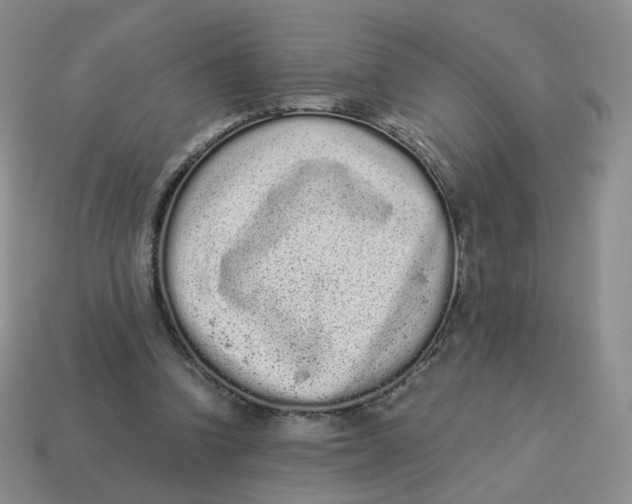 X0000114520346200911091155