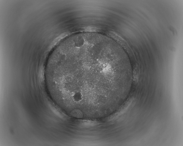 X0000114520347200911091155