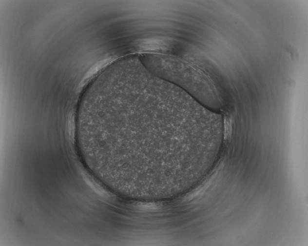 X0000114520349200911091155