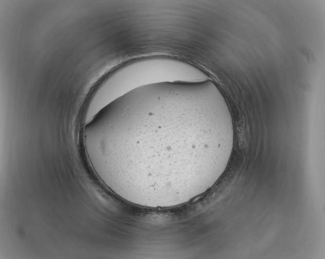 X0000114520350200911091155