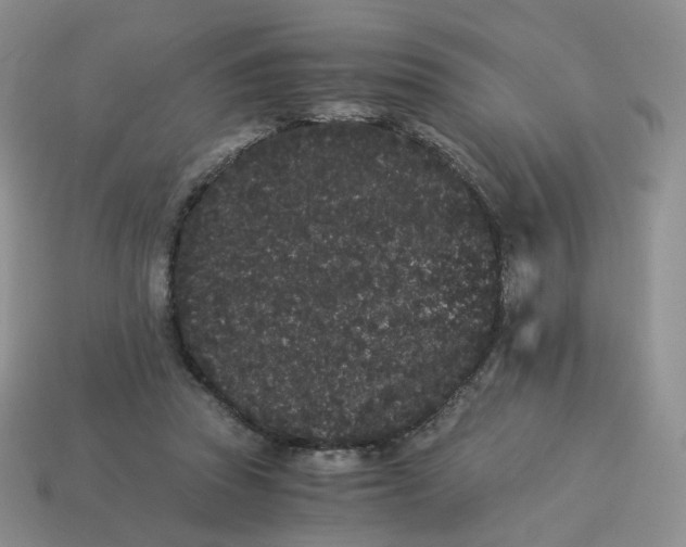 X0000114520353200911091155