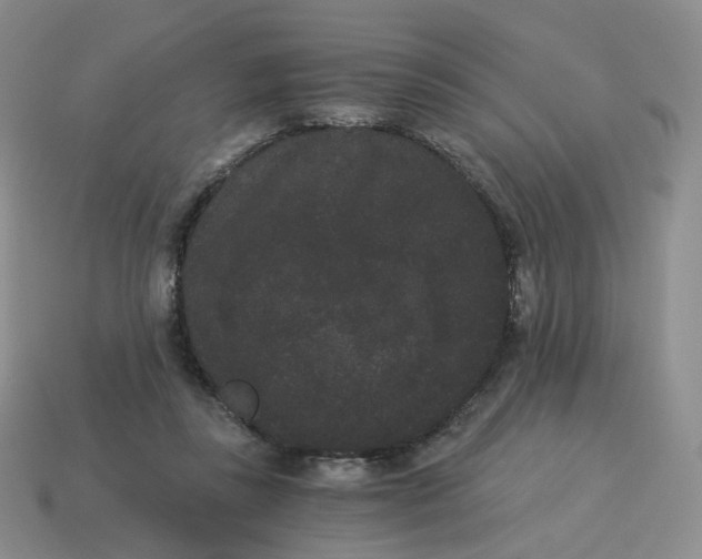 X0000114520355200911091155