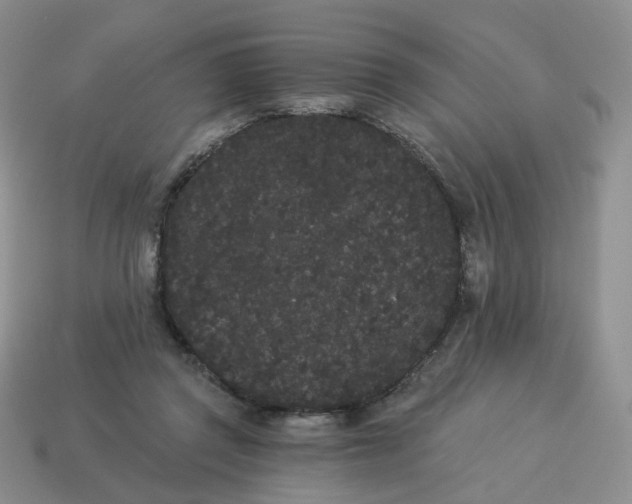 X0000114520357200911091155