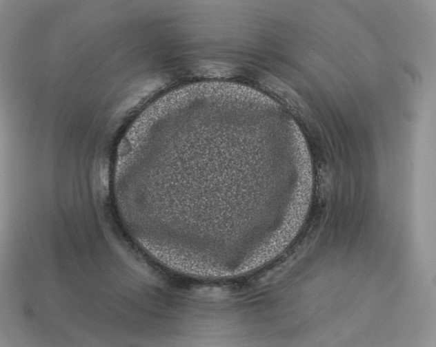 X0000114520358200911091155