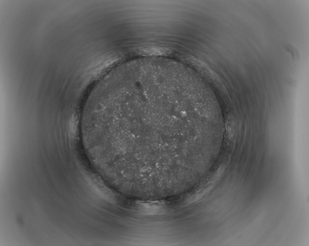 X0000114520359200911091155