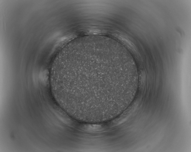 X0000114520361200911091155