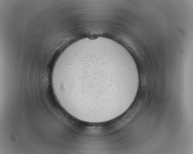 X0000114520362200911091155