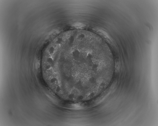 X0000114520365200911091155