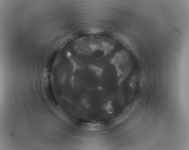 X0000114520366200911091155