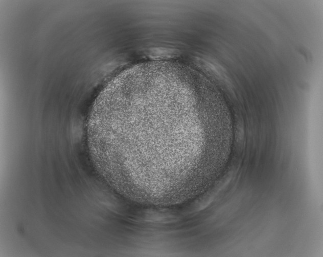 X0000114520367200911091155