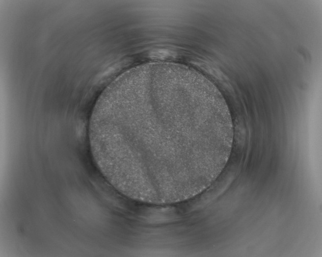 X0000114520375200911091155