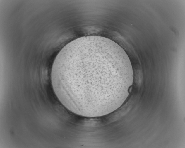 X0000114520378200911091155