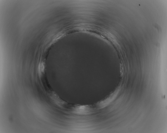 X0000114520382200911091155