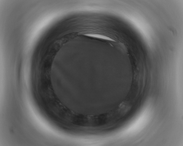 X0000114520383200911091155