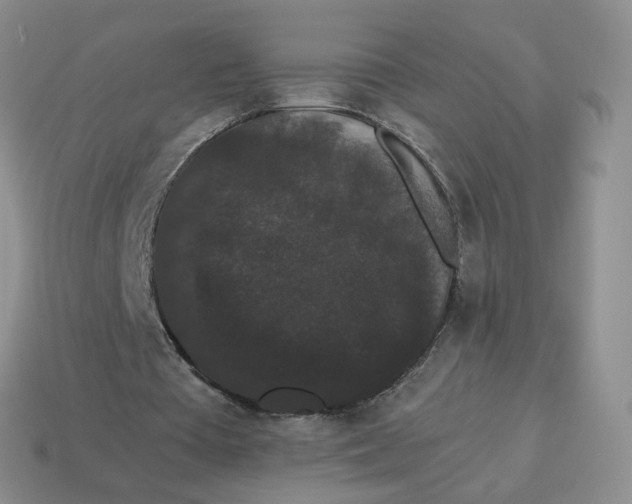 X0000114520385200911091155