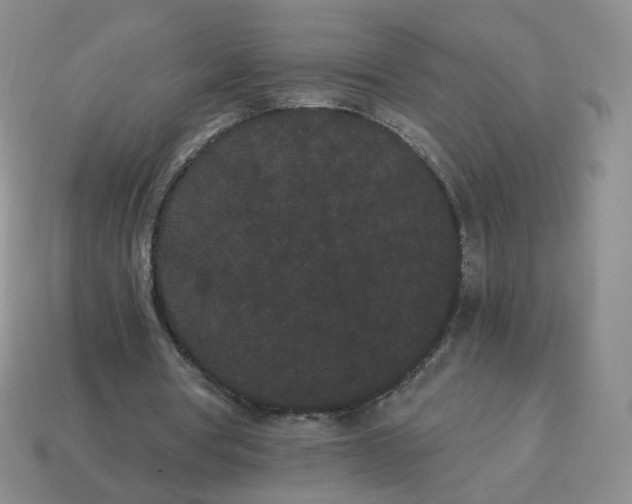 X0000114520386200911091155