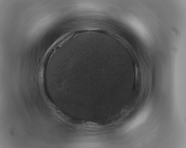 X0000114520387200911091155