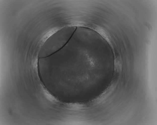 X0000114520389200911091155