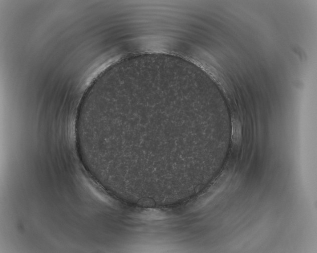 X0000114520390200911091155