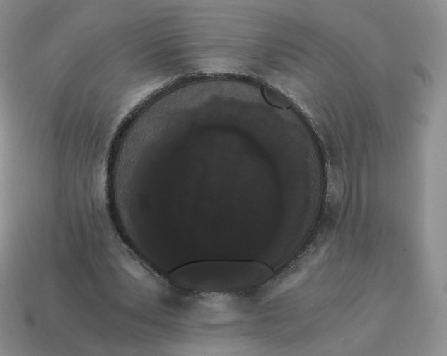 X0000114520391200911091155