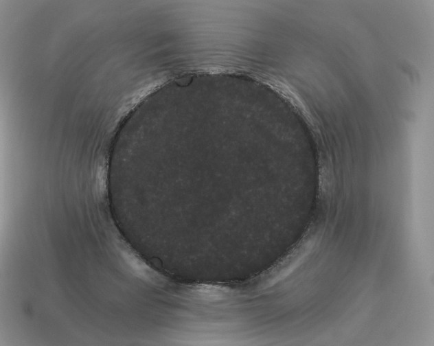 X0000114520393200911091155