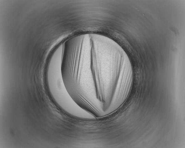 X0000114520395200911091155