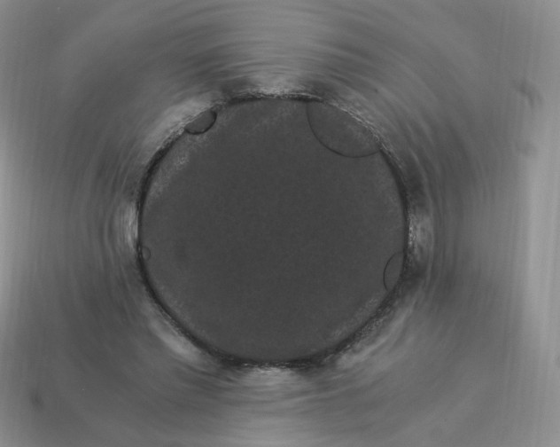 X0000114520397200911091155