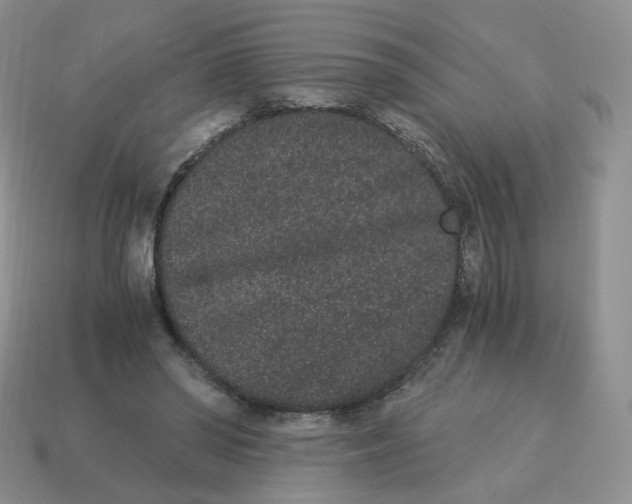 X0000114520398200911091155