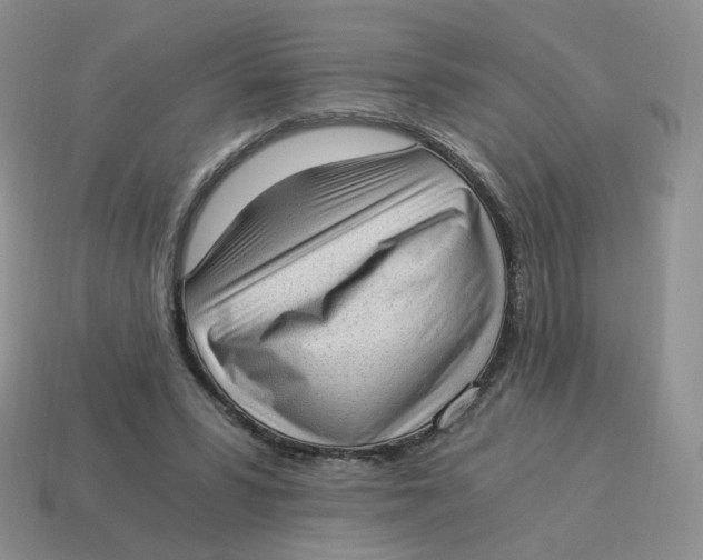 X0000114520399200911091155