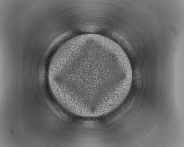 X0000114520400200911091155