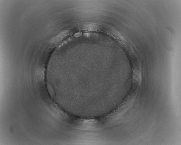 X0000114520401200911091155