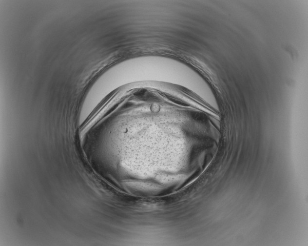 X0000114520405200911091155