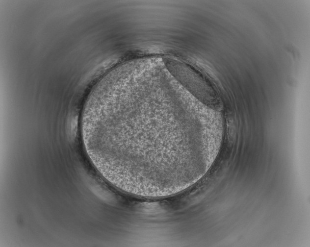 X0000114520406200911091155