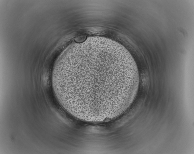 X0000114520408200911091155