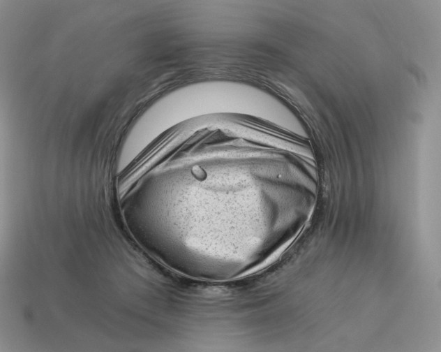 X0000114520409200911091155