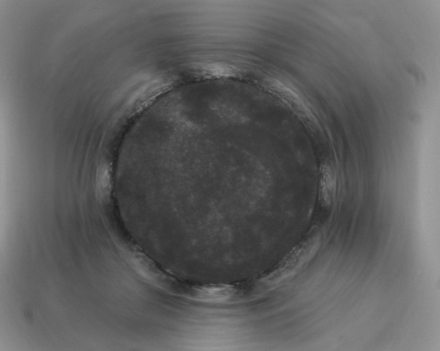 X0000114520410200911091155