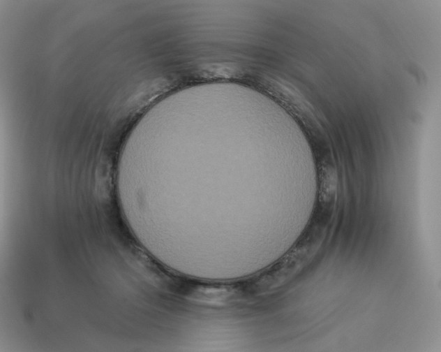 X0000114520414200911091154