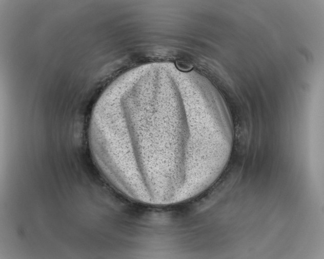 X0000114520416200911091154