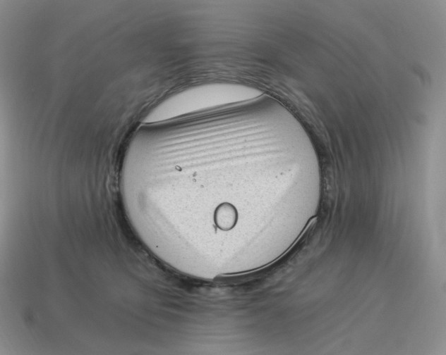 X0000114520419200911091154