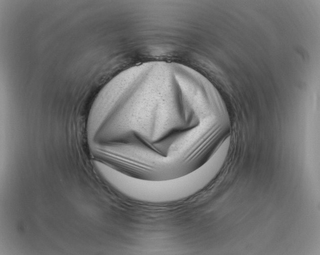 X0000114520421200911091154