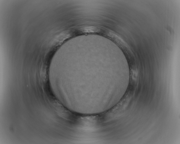 X0000114520422200911091154