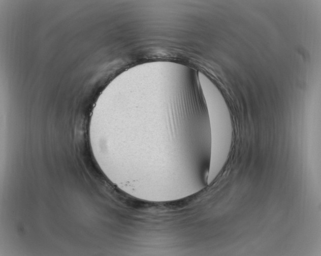 X0000114520423200911091154