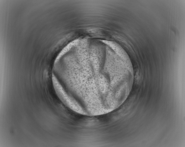 X0000114520424200911091154