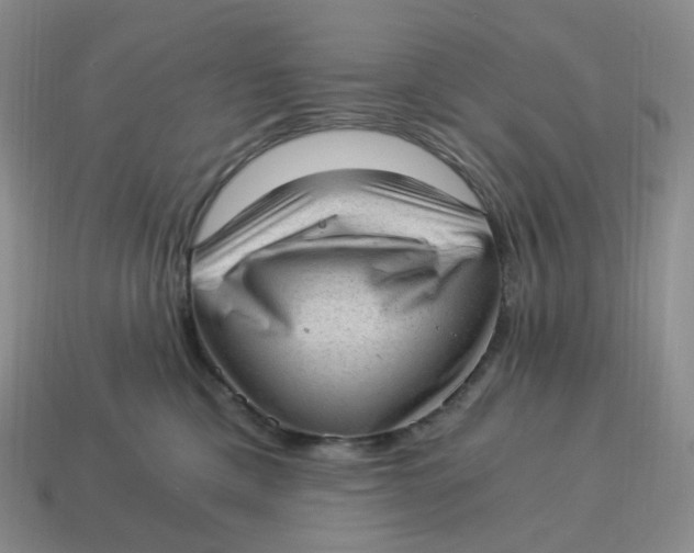 X0000114520425200911091154