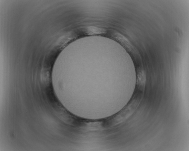 X0000114520426200911091154