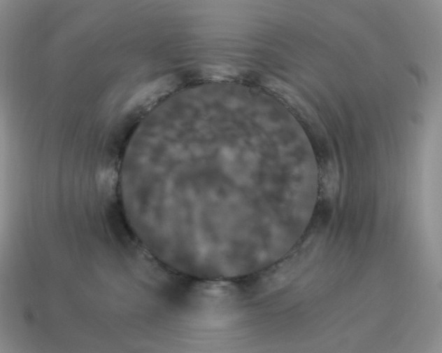 X0000114520427200911091154