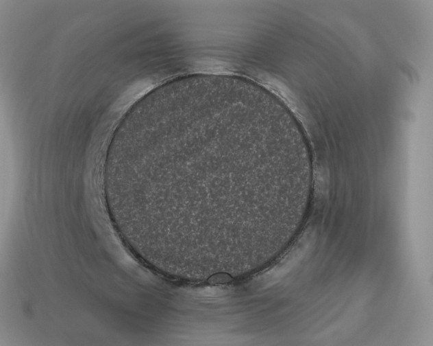 X0000114520433200911091154