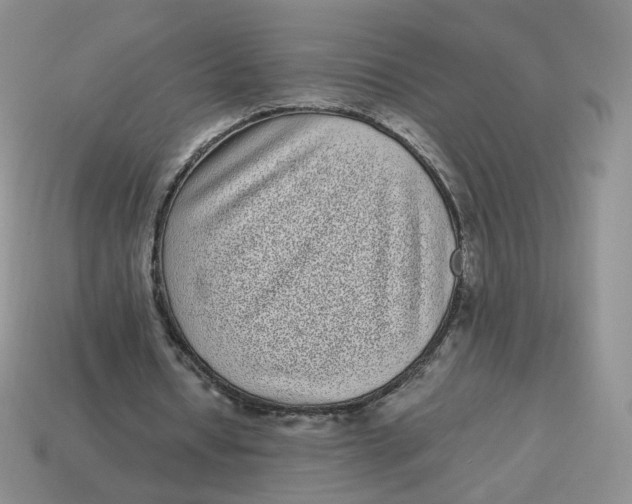 X0000114520434200911091154